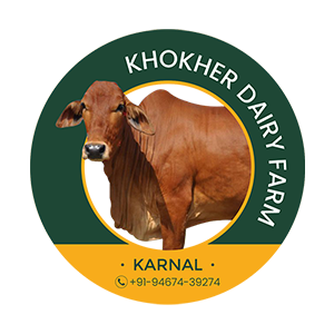 Khokhar Dairy Farm