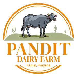 Pandit Dairy Farm
