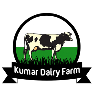 Kumar Dairy Farm