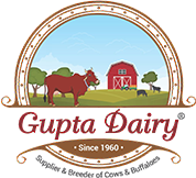 Gupta Dairy