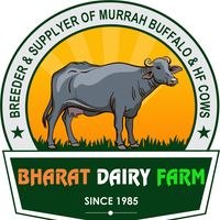 Bharat Dairy Farm Karnal