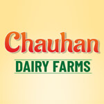 CHAUHAN DAIRY FARM HF COW