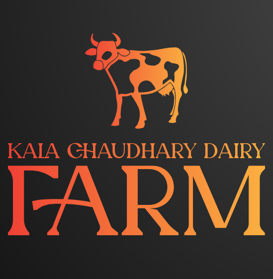 Kala Chaudhary Dairy Farm