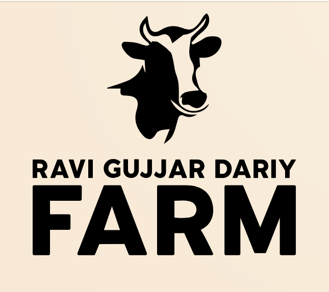 Ravi Gujjar Dairy Farm