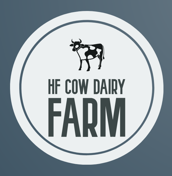 Hf Cow Dairy Farm